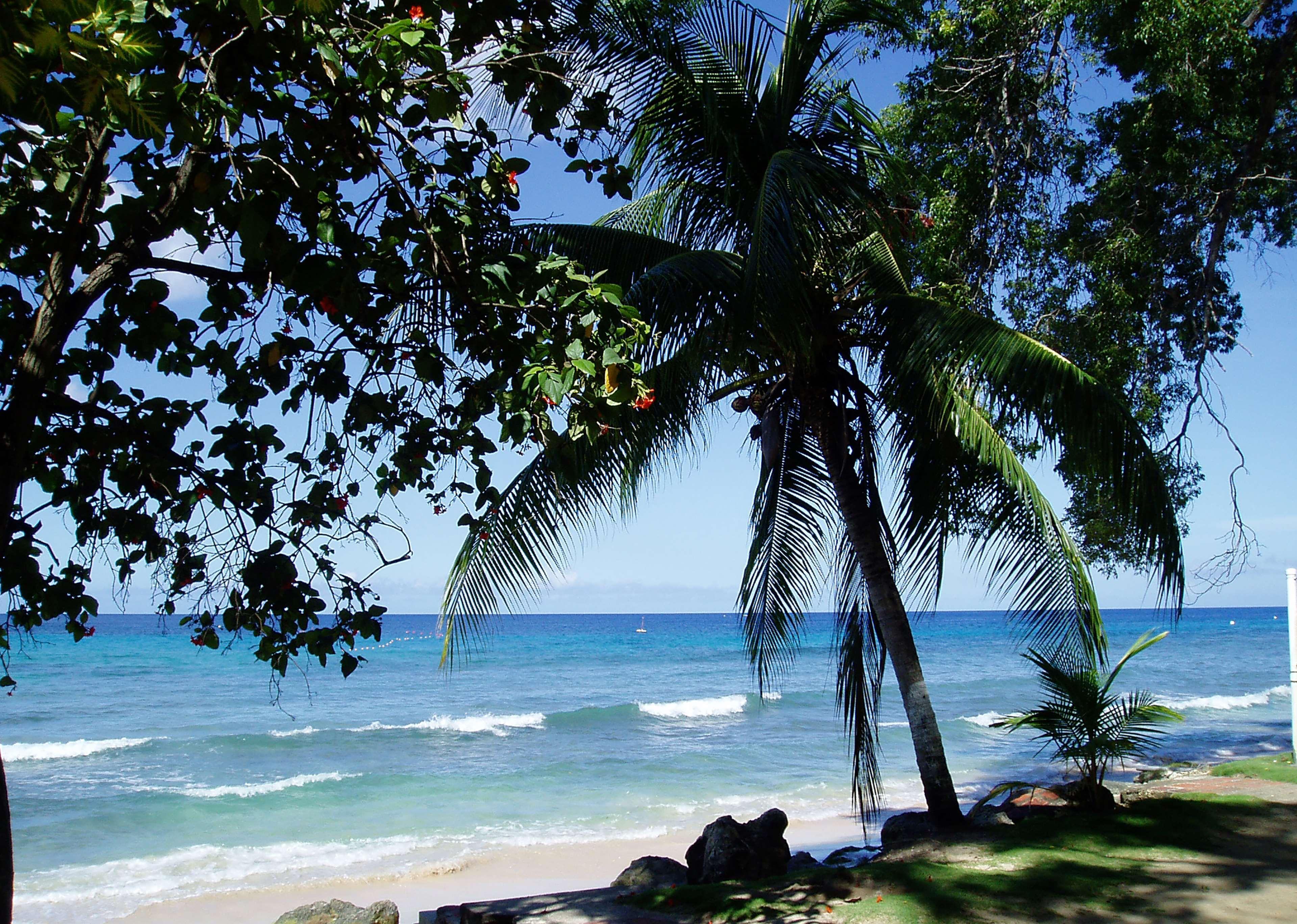 Divi Southwinds Beach Resort Christchurch Exterior foto